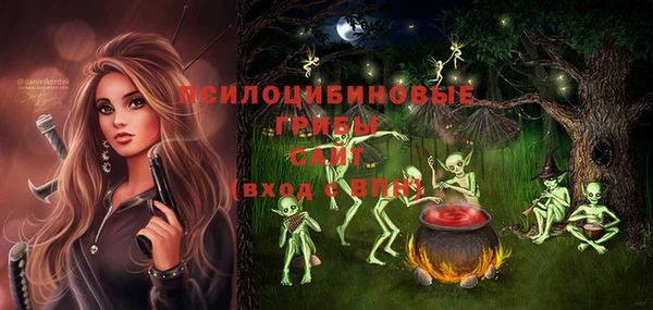 синтетический гашиш Богородск