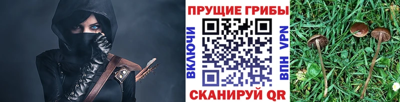 Псилоцибиновые грибы мицелий  Магас 
