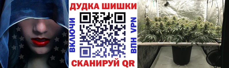 Канабис марихуана  omg как зайти  Магас 